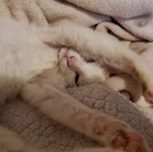 Meet your Posher, Christina